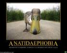 anatidaephobia.png