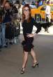 858853650_DanaDelany_SavagespremiereNYC_270612crCD_201_122_103lo.jpg
