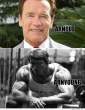 arnold-arnyoung.jpg