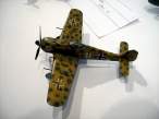 BLuka21feb13 Fw190afr sm 02.jpg
