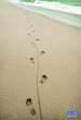 enhanced-buzz-wide-19499-1362862505-5.jpg