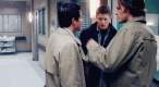SP (8).gif