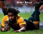 sports-balls-replaced-cats 7.jpg