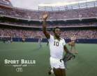 sports-balls-replaced-cats 10.jpg