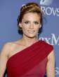 Stana+Katic+Women+Film+2013+Crystal+Lucy+Awards+DK86I3UXiUPx.jpg