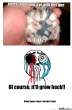 yes-yes-you-can_o_1211842.jpg