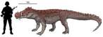 Kaprosuchus saharicus size.jpg