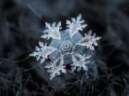 snowflake-closeup7-550x412.jpg