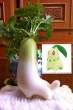 f701b408d6a91161ff36a339915c5848-real-life-chikorita-discovered.jpg