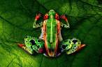 body-paint-done-right-19.jpg