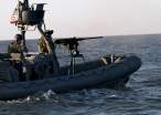 nsw-rhib-m2-hr sm.jpg