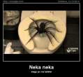 neka-neka.jpg