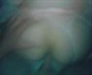 MOV00279_2.jpg