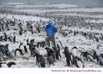 Outside-in-the-cold-with-penguins-resizecrop--.jpg