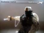 SmahunianWarrior 104s r.jpg
