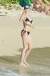 stephanie_seymour_bikini_11.jpg