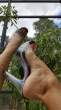 Sally-DAngelo-Feet-2211769.jpg